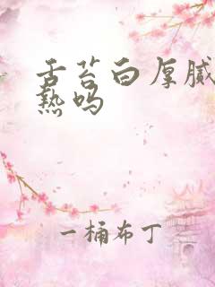 舌苔白厚腻是湿热吗