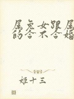 属兔女跟属蛇男的合不合婚