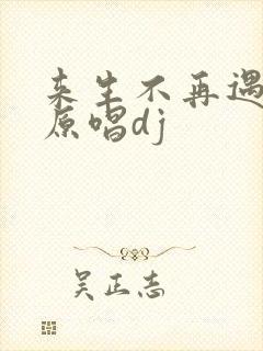 来生不再遇见你原唱dj