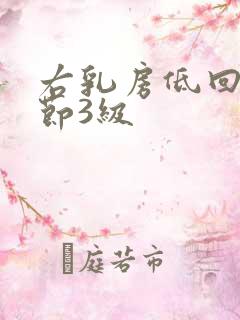 右乳房低回声结节3级