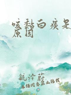 咳黏白痰是什么原因