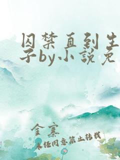 囚禁直到生下孩子by小说免费阅读