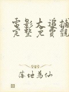 电影大追捕在线完整免费观看国语