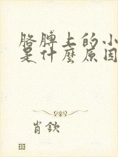 胳膊上的小红点是什么原因造成的