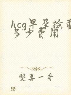 hcg早孕检查多少费用