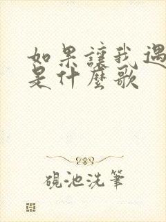 如果让我遇见你是什么歌