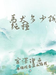 马犬多少钱一只 纯种