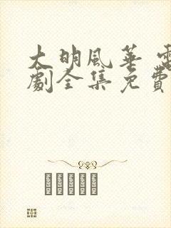 大明风华 电视剧全集免费观看