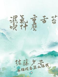 湿气重舌苔黄腻吃什么