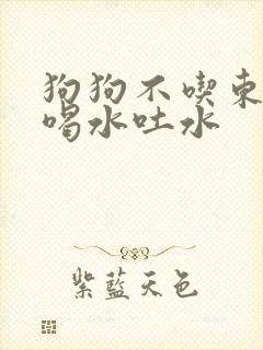 狗狗不吃东西只喝水吐水