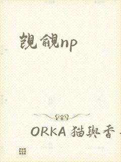 觊觎np