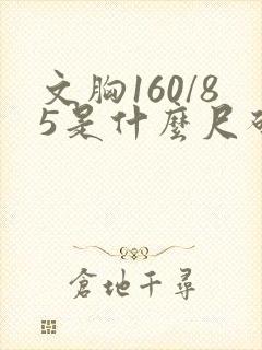 文胸160/85是什么尺码