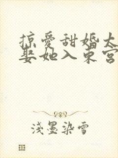 掠爱甜婚太子强娶她入东宫免费阅读