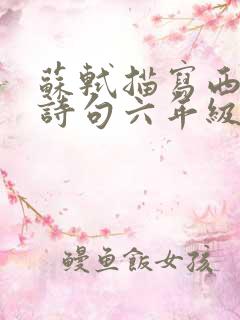 苏轼描写西湖的诗句六年级