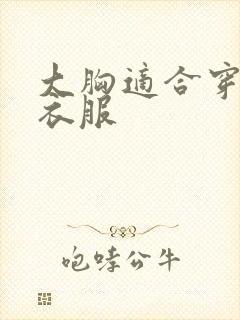 大胸适合穿哪种衣服