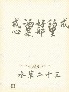 戒酒好的戒酒中心是哪里