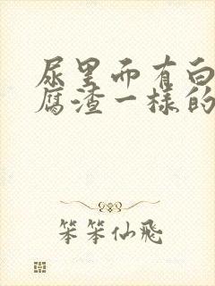 尿里面有白色豆腐渣一样的东西