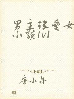 男主很爱女主的小说1v1