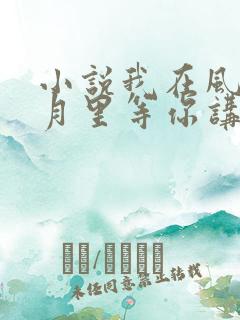 小说我在风花雪月里等你讲的什么