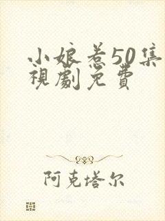 小娘惹50集电视剧免费