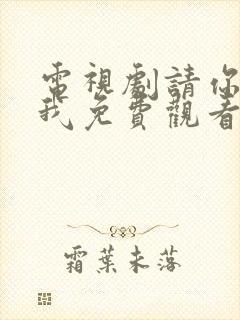 电视剧请你等等我免费观看全集