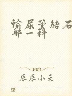 输尿管结石属于哪一科