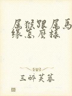 属猴跟属马的姻缘怎么样