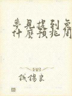 梦见捉到兔子是什么预兆周公解梦