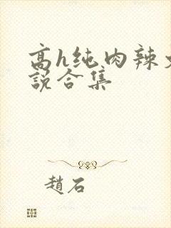 高h纯肉辣文小说合集