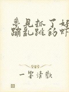 梦见抓了好多活蹦乱跳的虾