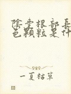 阴囊根部长了白色颗粒是什么原因