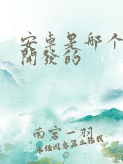 安卓是哪个公司开发的