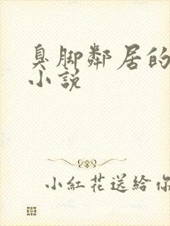 臭脚邻居的臭脚小说