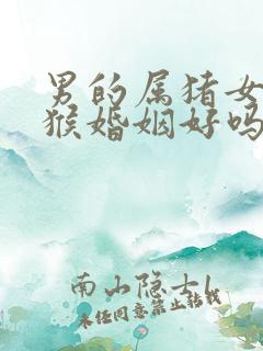 男的属猪女的属猴婚姻好吗