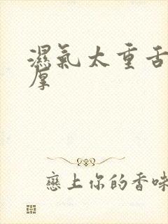 湿气太重舌苔白厚