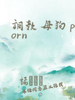 调教 母狗 porn