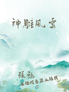 神雕风云