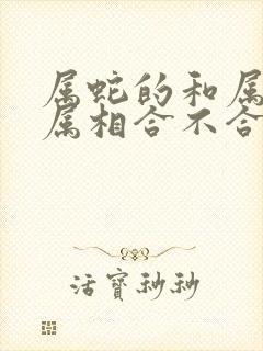 属蛇的和属马的属相合不合