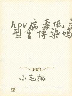 hpv病毒低危型会传染吗