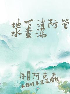 地下消防管网漏水查漏