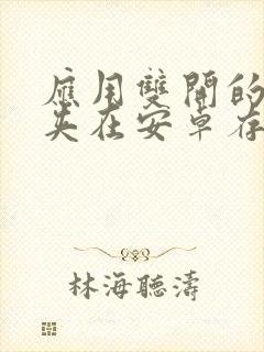 应用双开的文件夹在安卓存储访问哪里