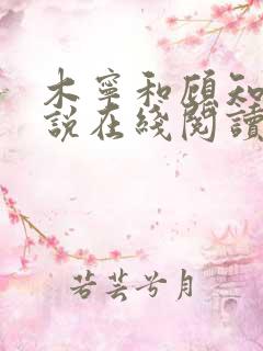 木宁和顾知胤小说在线阅读