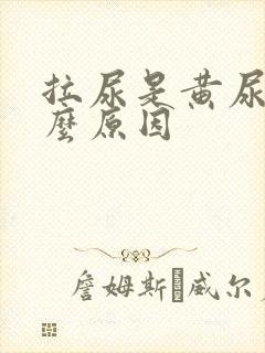 拉尿是黄尿是什么原因