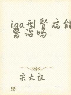 iga型肾病能医治吗