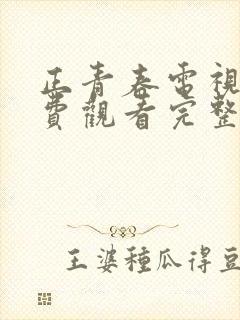 正青春电视剧免费观看完整版西瓜