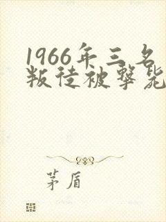 1966年三名叛徒被击毙