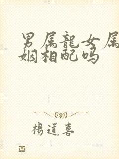 男属龙女属羊婚姻相配吗