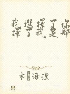 我选择了你你选择了我是哪首歌词