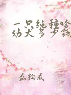 一只纯种哈士奇幼犬多少钱