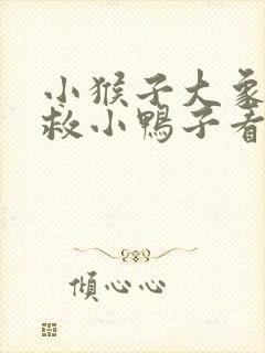 小猴子大象小熊救小鸭子看图写话